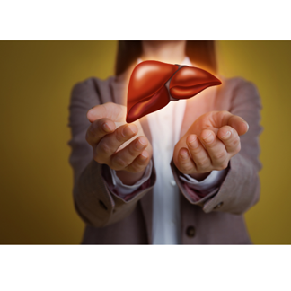 The Liver's Vital Role in Detoxification